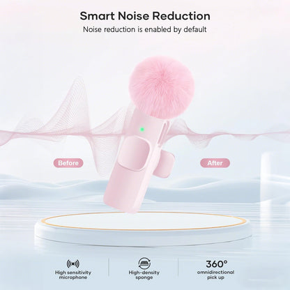 HITOZON — Microfone de Lapela Sem Fio USB-C